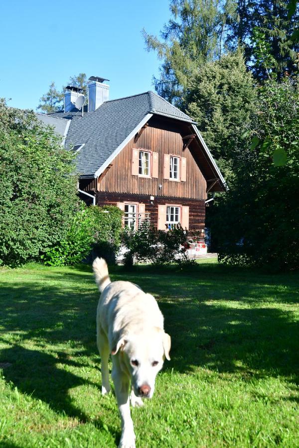 Naturforsthaus Ferienwohnung Fuer Hunde- Und Tierverbundene Menschen Preitenegg Eksteriør billede